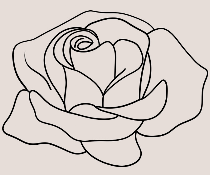 Roses & Wallflowers Esthetics